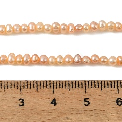 Natural Cultured Freshwater Pearl Beads Strands&nbsp;PEAR-L034-13B