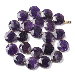 Natural Amethyst Beads Strands&nbsp;G-C116-A167-03