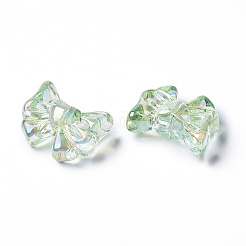 Transparent Acrylic Beads&nbsp;TACR-K004-05