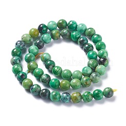 Natural Variscite Bead Strands&nbsp;G-G-P444-01B