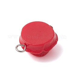 Opaque Resin Pendants&nbsp;PALLOY-JF02752-01