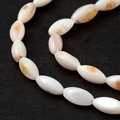 Natural Freshwater Shell Dyed Beads Strands&nbsp;SHEL-M018-13-13
