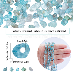 2 Strands Natural Apatite Chip Beads Strands&nbsp;G-SC0002-52