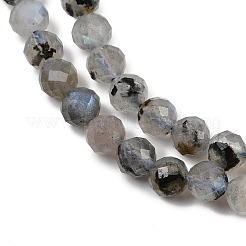 Natural Labradorite Beads Strands&nbsp;G-G281-B03-6mm