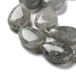 Natural Labradorite Beads Strands&nbsp;G-P528-L03-01
