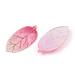 Printed Translucent Acrylic  Pendants&nbsp;OACR-T028-24