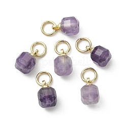 Natural Amethyst Pendants&nbsp;PALLOY-JF05300-02