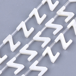 Natural Freshwater Shell Beads&nbsp;X-SHEL-T012-59