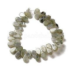 Natural Labradorite Beads Strands&nbsp;G-B064-B62