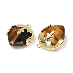 Natural Tiger Eye Faceted Pendants&nbsp;G-K347-09G-02