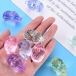 Transparent Acrylic Pendants&nbsp;MACR-S373-77-B