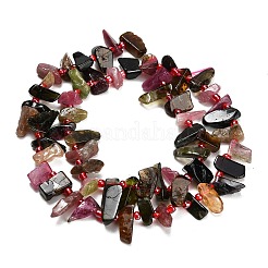 Natural Multicolor Tourmaline Beads Strands&nbsp;G-Z124-C02-01
