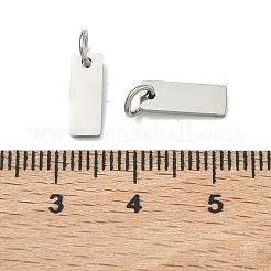 304 Stainless Steel Charms&nbsp;STAS-B124-01D-P