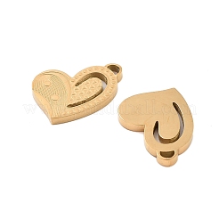 Ion Plating(IP) 304 Stainless Steel Pendants&nbsp;STAS-S140-22G