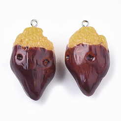 Resin Pendants&nbsp;X-RESI-T028-23