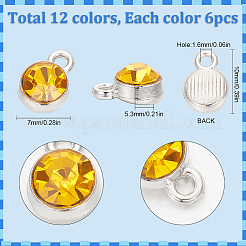 72Pcs 12 Colors Platinum Alloy Charms&nbsp;RGLA-SC0001-05
