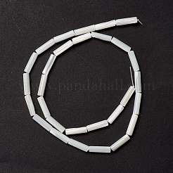 Natural Trochid Shell/Trochus Shell Beads&nbsp;SSHEL-O001-26B