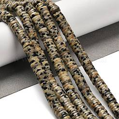 Natural Dalmatian Jasper Beads Strands&nbsp;G-G175-N26-01