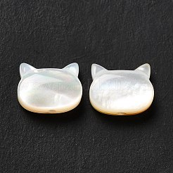 Natural White Shell Beads&nbsp;SHEL-G014-10A-01