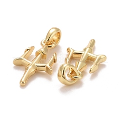 Rack Plating Real 18K Gold Plated Brass Pendants&nbsp;KK-E271-04G