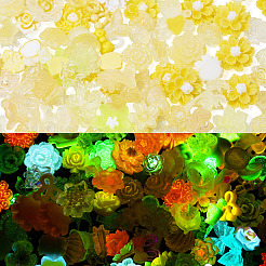 30G Luminous Resin Decoden Cabochons&nbsp;RESI-TA0003-32B