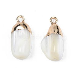 Natural Trochid Shell/Trochus Pendants&nbsp;SSHEL-N027-126