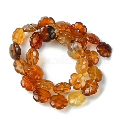 Natural Red Agate Beads Strands&nbsp;G-H023-B21-01