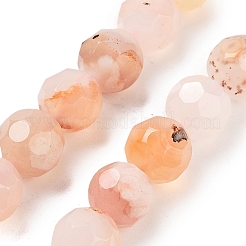 Natural Cherry Blossom Agate Beads Strands&nbsp;G-C150-B04-02