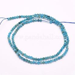 Natural Apatite Beads Strands&nbsp;G-F509-17-4mm