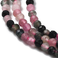 Natural Tourmaline Beads Strands&nbsp;G-P500-01A-01