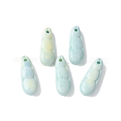 Natural Rainbow Alashan Agate Charms&nbsp;G-G194-05