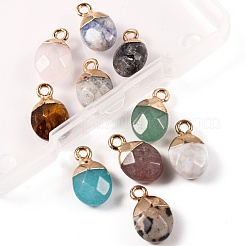 10Pcs 10 Style Natural Gemstone Charms&nbsp;G-LS0002-15