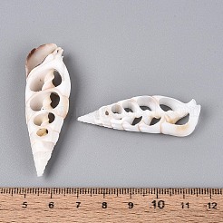 Natural Shell Big Pendants&nbsp;BSHE-T015-18