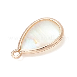 Natural Paua Shell Teardrop Pendants&nbsp;PALLOY-JF03762-03