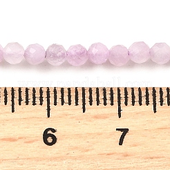 Natural Kunzite Beads Strands&nbsp;G-G259-D11-3mm