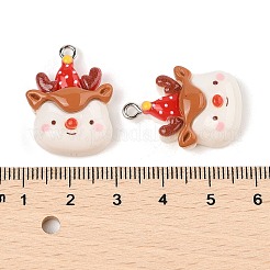 Christmas Theme Opaque Resin Pendants&nbsp;LS-RESI-S08-03G