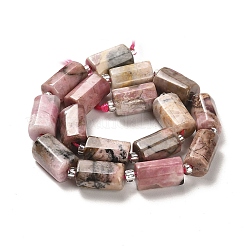 Natural Rhodonite Beads Strands&nbsp;G-N327-06-09