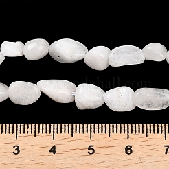 Natural White Moonstone Beads Strands&nbsp;G-K395-B02-01