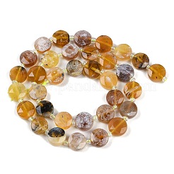 Natural Yellow Opal Beads Strands&nbsp;G-C116-A82-01