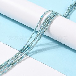 Natural Blue Opal Beads Strands&nbsp;G-K315-B05-A