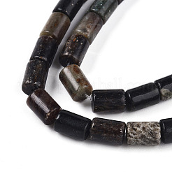 Natural Biotite Beads Strands&nbsp;G-T140-57