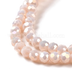 Faceted(32 Facets) Round Full Rainbow Plated Imitation Jade Electroplate Glass Beads Strands&nbsp;EGLA-J130-FR09