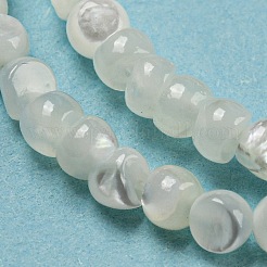 Natural White Shell Dyed Beads Strands&nbsp;BSHE-Z005-03G