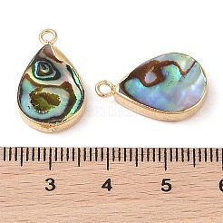 Natural Paua Shell Pendants&nbsp;SHEL-P017-14G