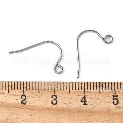 316 Surgical Stainless Steel Earring Hooks&nbsp;STAS-Z124-02C-P