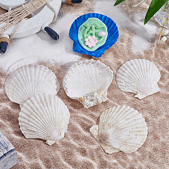 60Pcs Natural Shell Jewelry Decorative Plate&nbsp;AJEW-GA0009-64C
