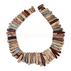 Natural Shoushan Stone Beads Strands&nbsp;G-Q616-06C