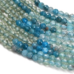 Gradient Color Natural Apatite Beads Strands&nbsp;GG-CBA1668-A04-2mm