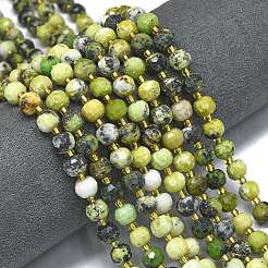 Natural Serpentine Beads Strands&nbsp;G-K389-E58-01
