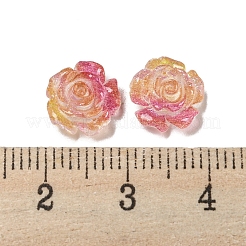Luminous Transparent Resin Cabochons&nbsp;RESI-D013-05C